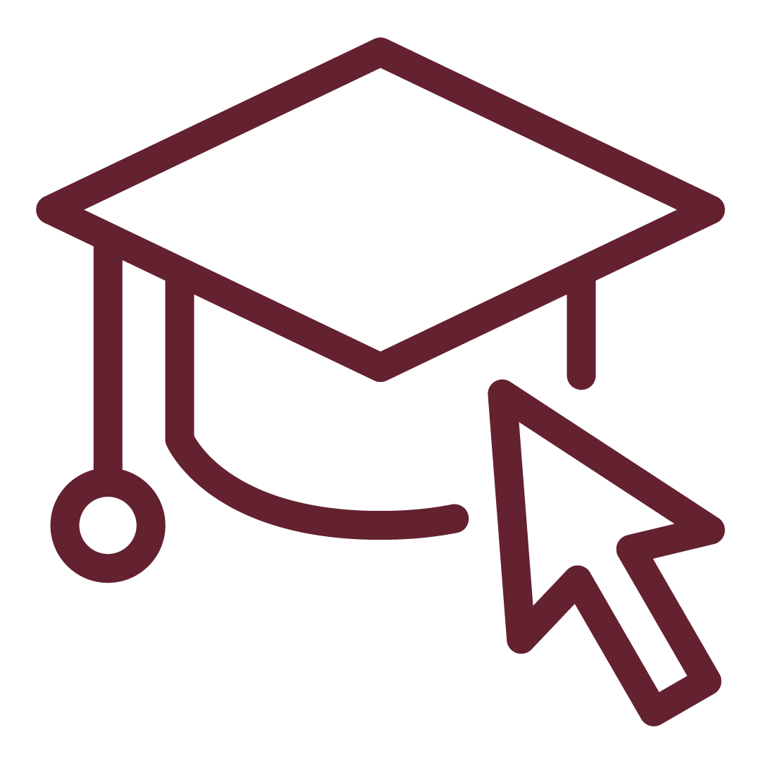 FSU Online Quality Initiative Office of Digital Learning